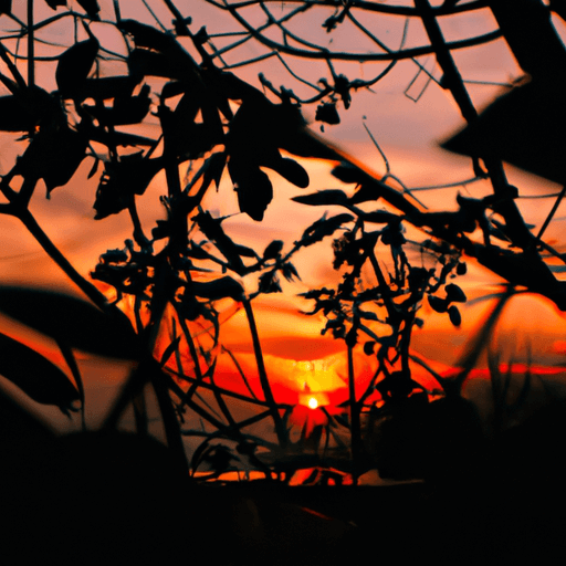 The_Benefits_of_Responsible_Tourism_How_Sustainable_Travel_Can_Help_Preserve_Our_Worlds_Natural_Wo