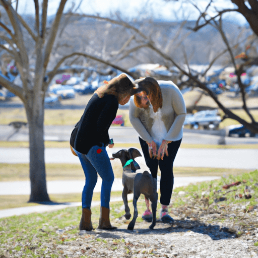The_Benefits_of_Having_a_Pet_A_Guide_for_New_Pet_Owners