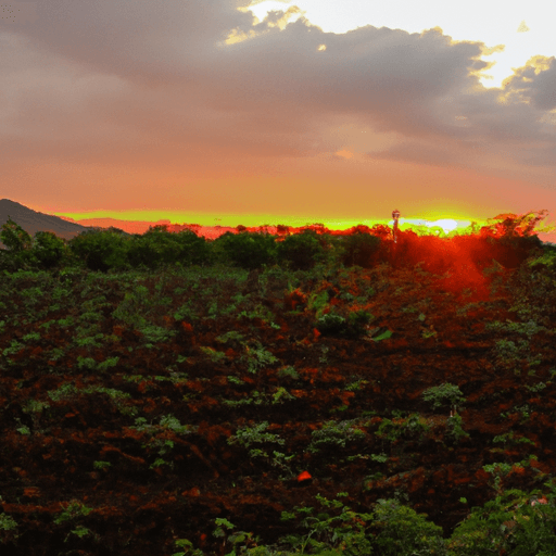 The_Benefits_of_Sustainable_Agriculture_for_Local_Communities