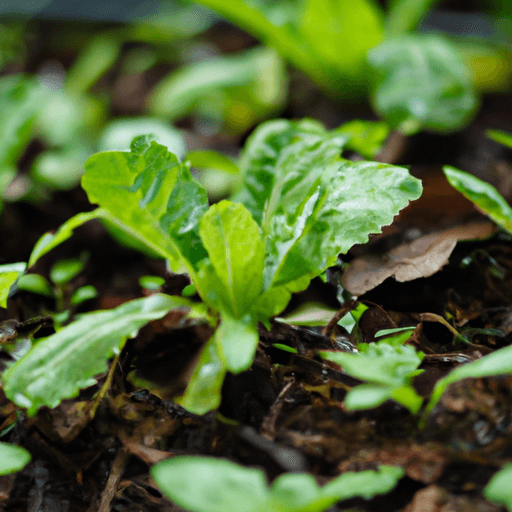 Organic_Gardening_The_Benefits_and_Challenges_of_Growing_a_Sustainable_Garden