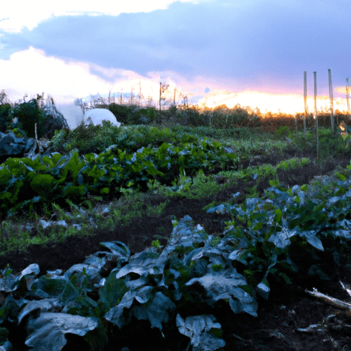 The_Benefits_of_Growing_Your_Own_Vegetables_at_Home