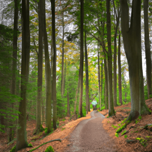 The_Benefits_of_Slow_Travel_How_to_Maximize_Your_Travel_Experiences_While_Minimizing_Your_Carbon_Fo