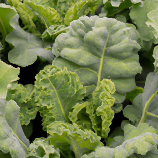 How_to_Create_a_Sustainable_Home_Garden