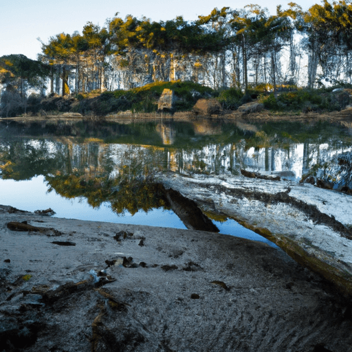 The_Benefits_of_Practicing_Mindfulness_for_Mental_and_Physical_Wellness