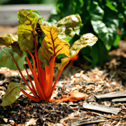 The_Benefits_of_Growing_Your_Own_Vegetables_at_Home