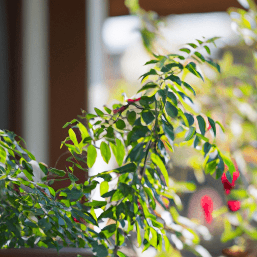 How_to_Create_a_LowMaintenance_Garden