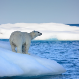 float_The_Impact_of_HumanCaused_Climate_Change_on_Wildlife_Populations